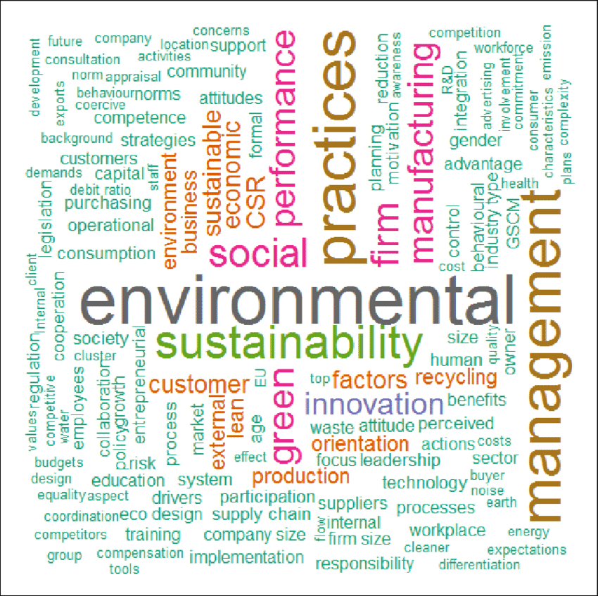 Word cloud in which 'environmental', 'sustainability', 'management' and 'practices' are the most prominent words