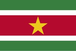 Flag of Suriname