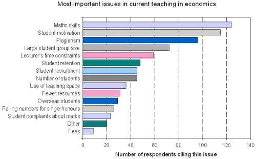 Bar chart of issues labelled as important by respondents